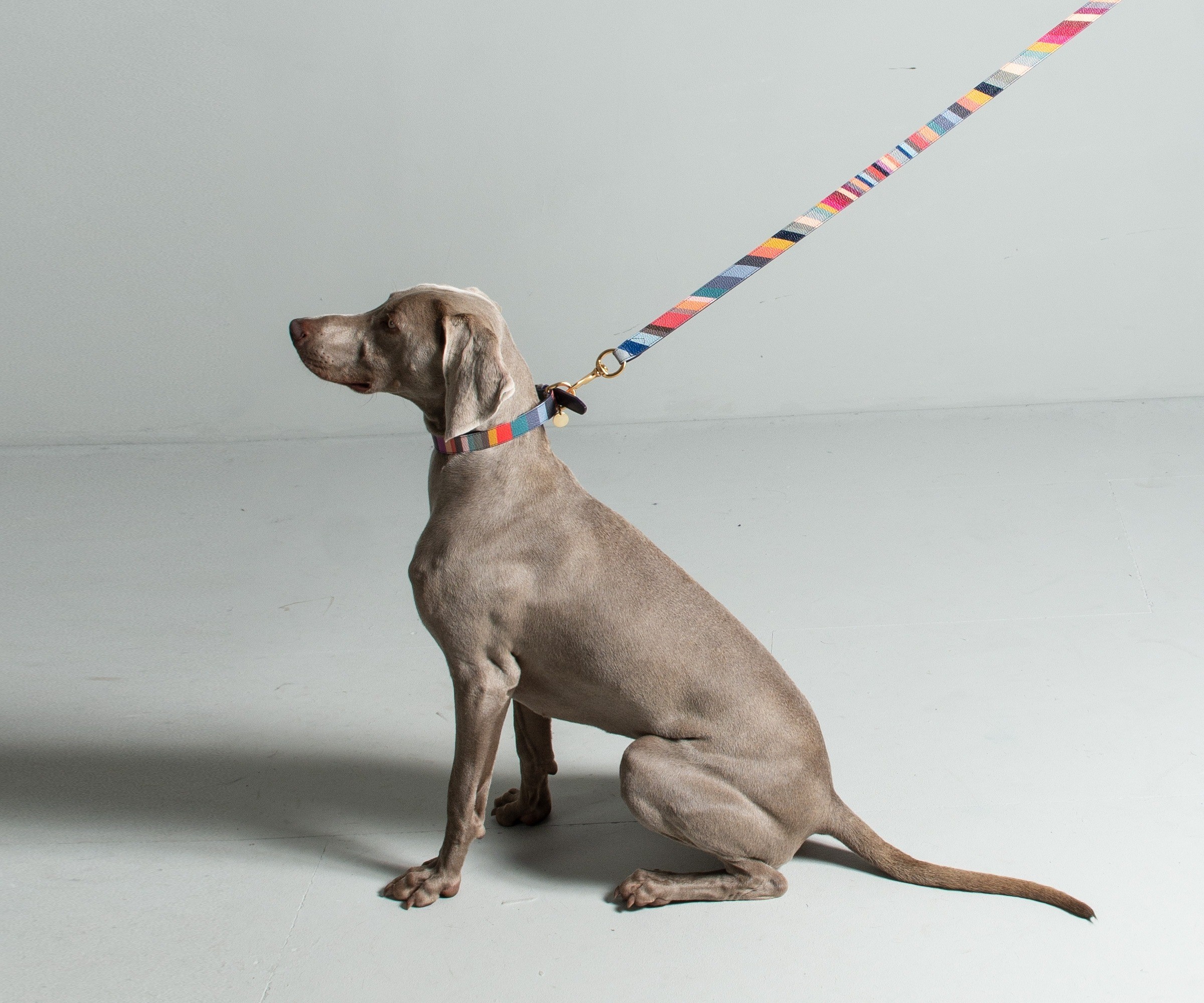 Paul Smith 'Swirl' Print Leather Dog Lead